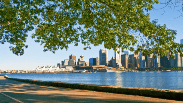 🌳 Điểm Tham Quan